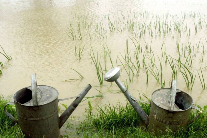 Ilustračný obrázok k článku Okolie Košíc varujú pred veľkou vodou: Hrozí nám povodeň z trvalého dažďa!