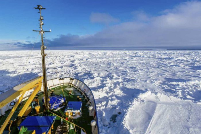 Ilustračný obrázok k článku Expedícia na Antarktíde s účasťou UPJŠ: Ťažko dostupné lišajníky poslúžia študentom