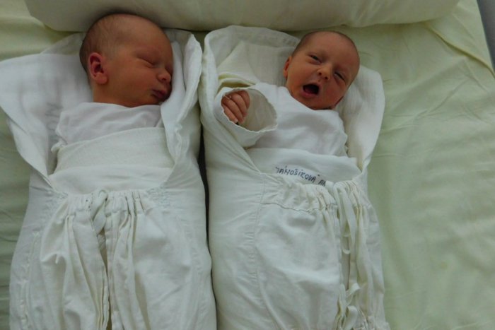 Ilustračný obrázok k článku Magické sedmičky v novoveskej pôrodnici: Aj tieto bábätka sa vypýtali na svet