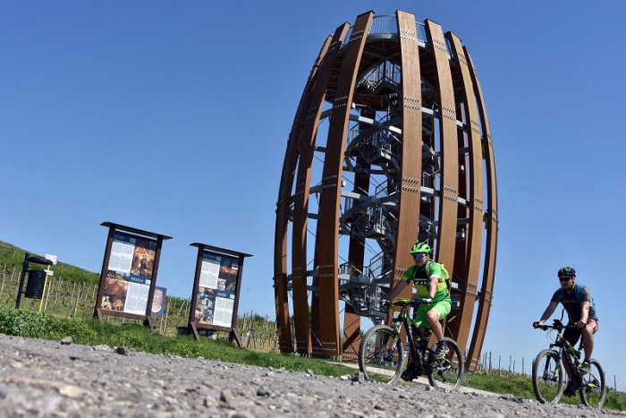 Ilustračný obrázok k článku Šport i chuť dobrého vína: Tour de Tokaj ponúka cyklistom a bežcom trasy cez vinice