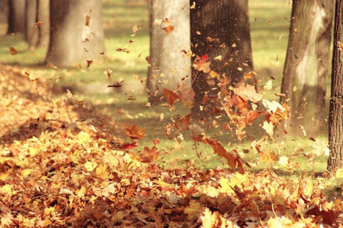 Ilustračný obrázok k článku Mobilnými kosačkami v lete kosia a na jeseň zbierajú opadané lístie