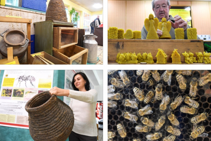 Ilustračný obrázok k článku VIDEO+FOTO: Ako pracujú a žijú včielky? V Botanickej záhrade je výstava o včelárstve