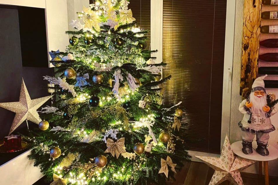 Ilustračný obrázok k článku Košičania ukázali svoje vianočné stromčeky. Veľká GALÉRIA od našich čitateľov